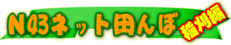 N43�l�b�g�@���